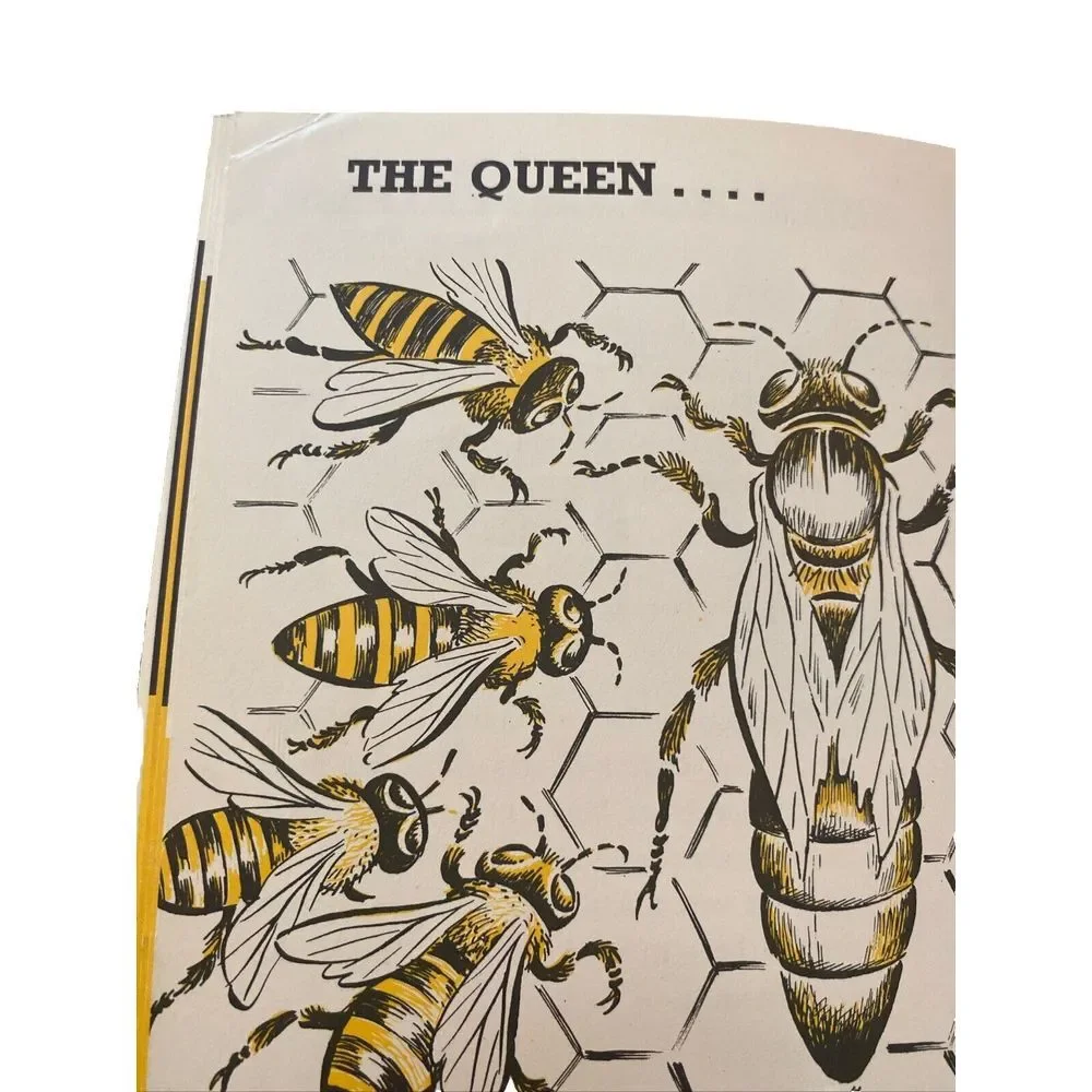 Biography of a Bee by Harry Smith (1970 Putman, A Nature Biography Book) 1st Ed.
